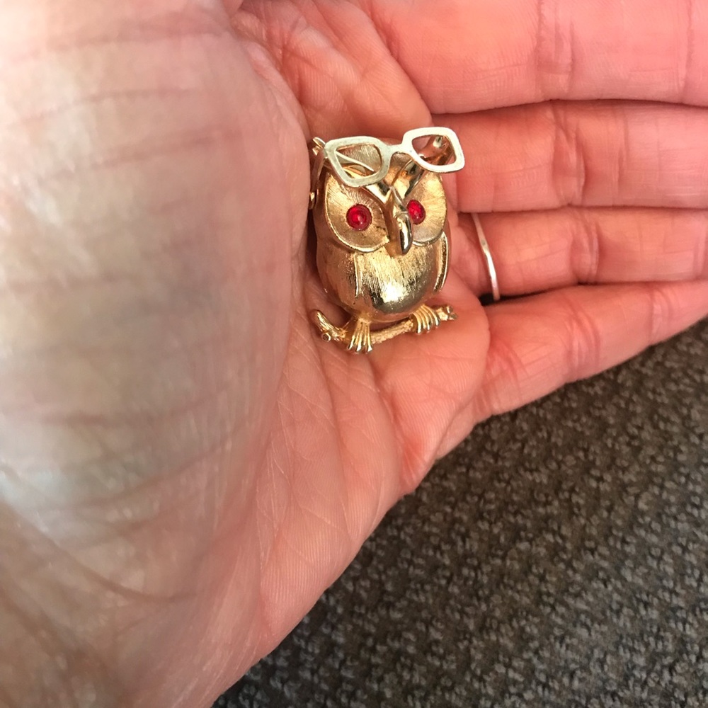 Owl Brooch with moving glasses